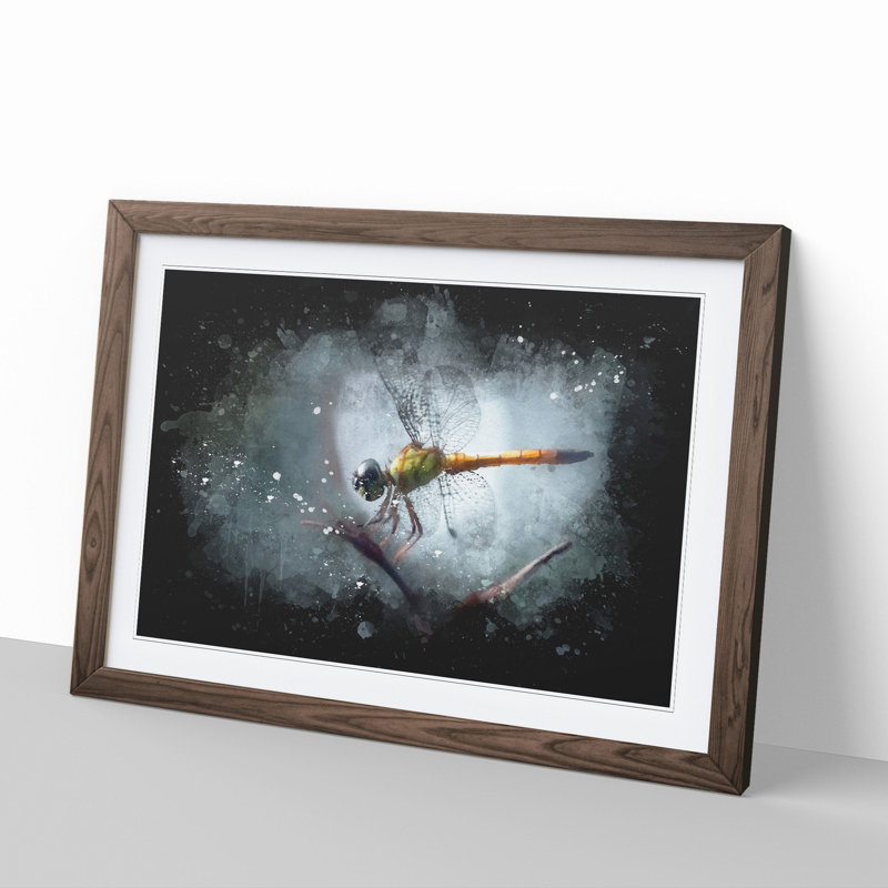 Dragonfly Vol.5 - Framed Print, 36cm H x 48cm W x 2cm D, Walnut