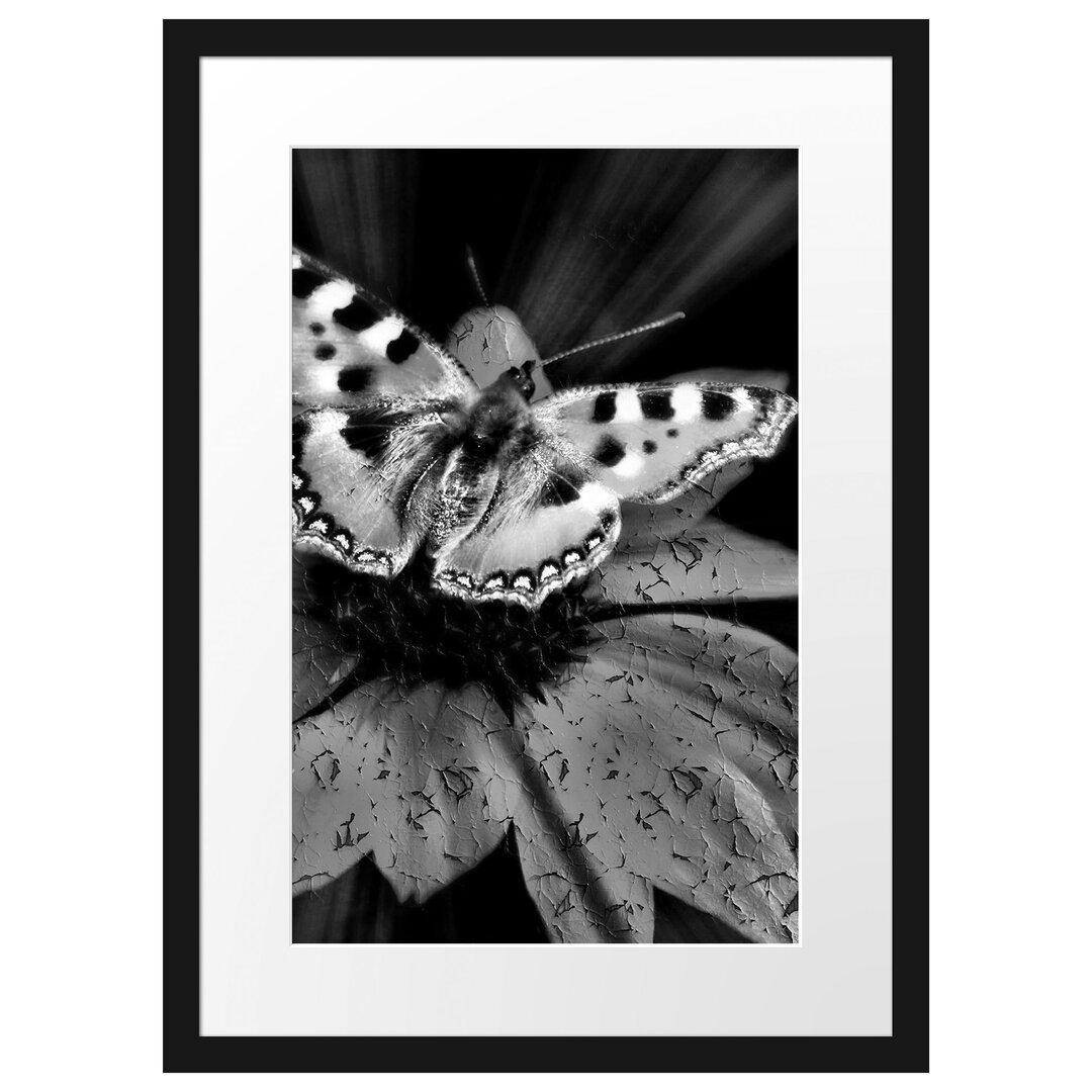 Gerahmtes Poster Schmetterling auf roter Blüte