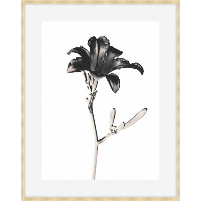 Flora Noir 2 Framed Print