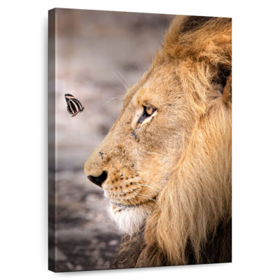 Brampt le lion et le papillon