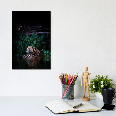 Cooling Down by David Whelan - Wrapped Canvas Gallery-Wrapped Canvas Giclée