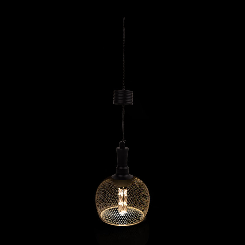 Luminaire suspendu d'extérieur 10 po