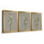 «White Field Flowers I», ensemble de 3 impressions sur toile encadrées-1995759346-1995759349