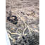Hudson Damask Area Rug