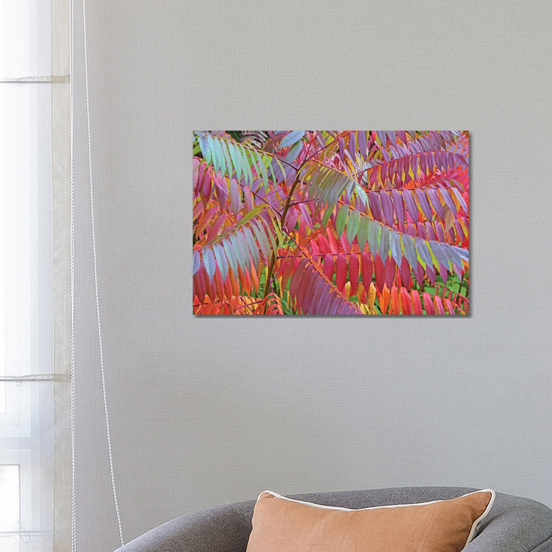 Shades Of Sumac by Brian Wolf - Wrapped Canvas Gallery-Wrapped Canvas Giclée, 45.72cm H x 66.04cm W