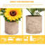 8,3 Plante
