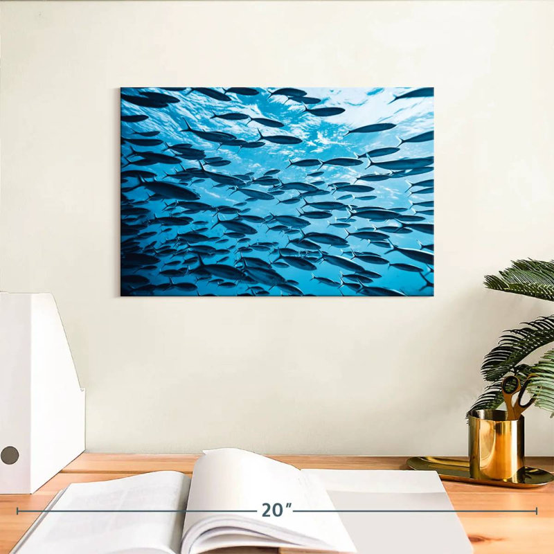 Brampt, école de poissons tropicaux, H 8 po x l 12 po
