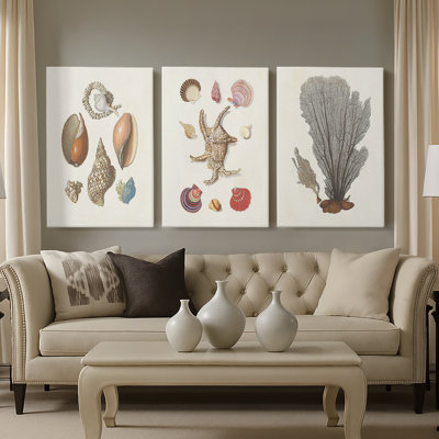 Knorr Shells & Coral I - Toile tendue sur mesure avec châssis - 3 pièces