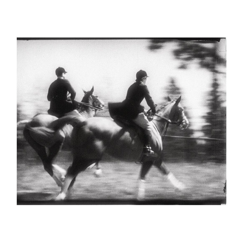 Field Hunt Print by Chris Dunker, Plexi, 40" H x 50" W x 1.5" D