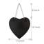 Heart Mirror