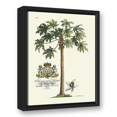 " Vintage Botanical Print "
