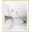 Flock Of Birds II 1 Print by Ellie Vergura-703936092