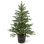 Norwegian 4' Green Spruce Artificial Christmas Tree with 100 Clear Lights