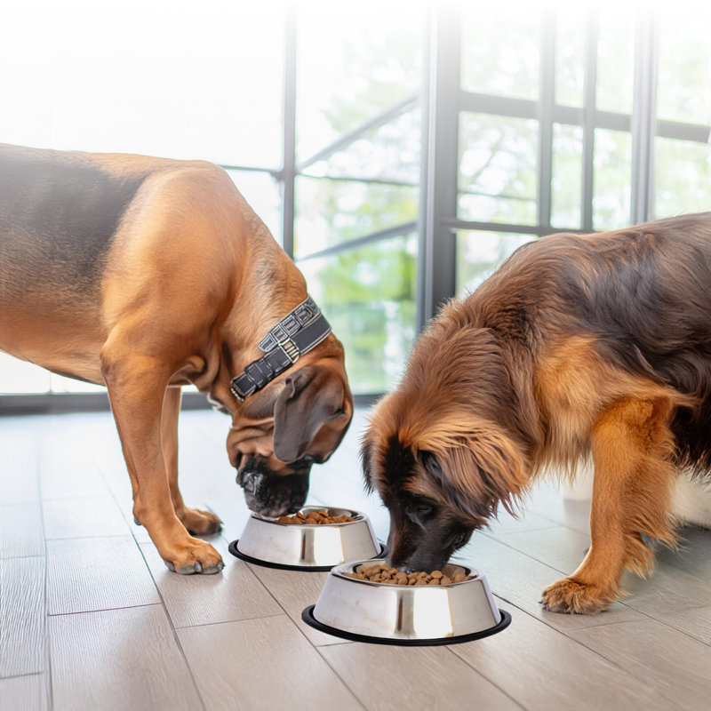 Stainless Steel Non-Skid Pet Bowl with Rubber Base, 96 oz