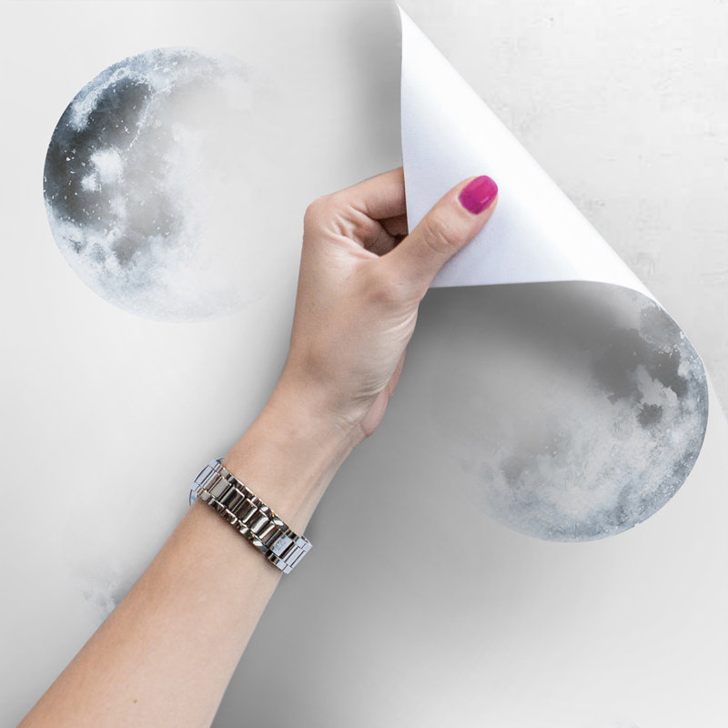 Adylynn Matte Mural, 360 x 250cm