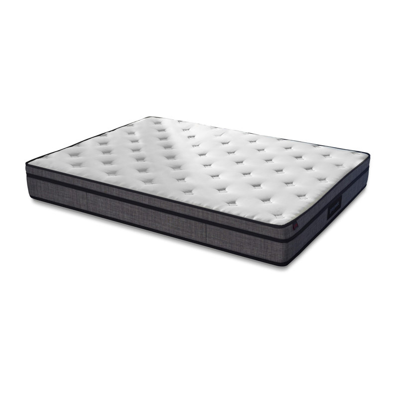 Matelas moyen en mousse East Urban Home Phenile, Grand