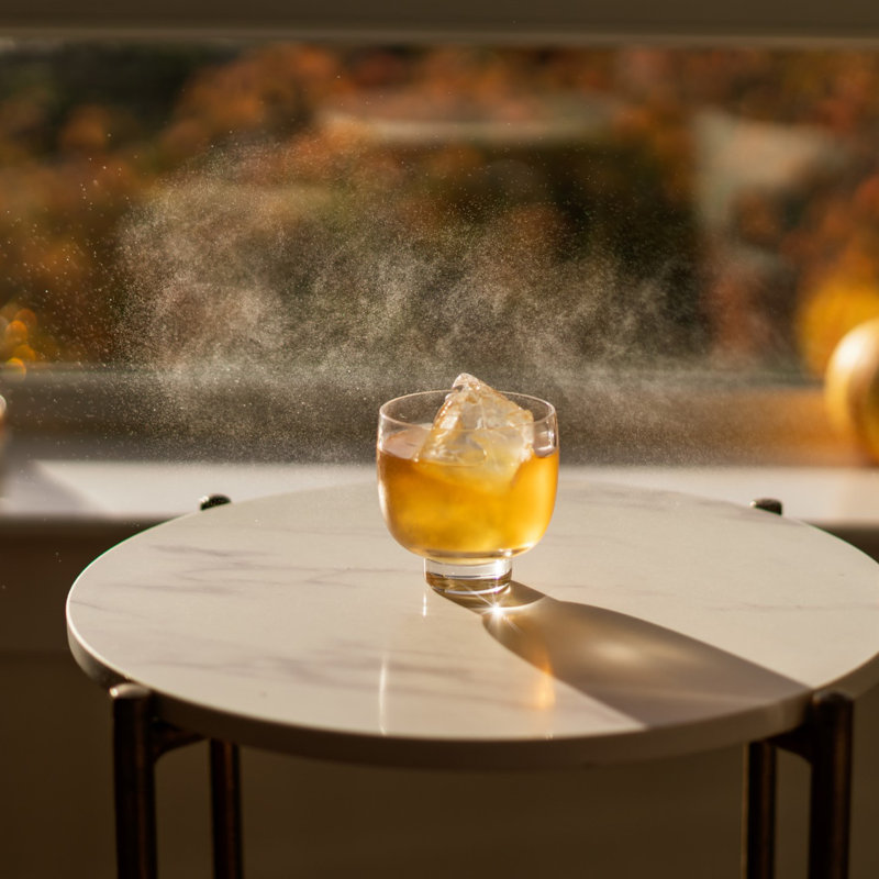 Ensemble de 2 verres à whisky en cristal sans plomb 9 oz Malt