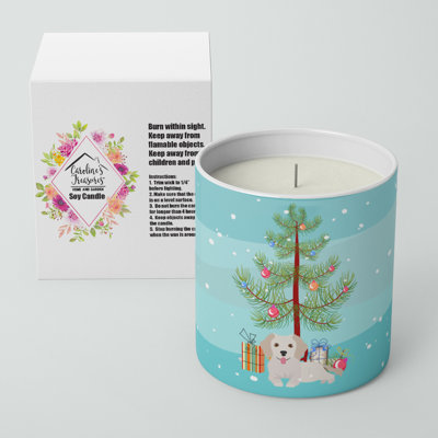 Petit bougie de soja 10 oz