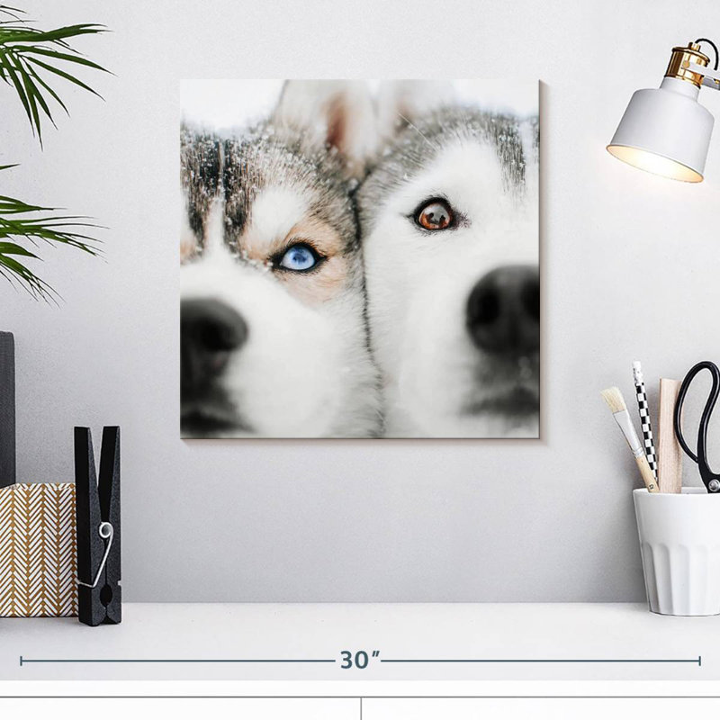 Crowle Husky Faces, 16" H x 16" W