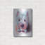"Lily The Westie" par Dawg Painter-1467526094