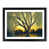 Black Framed selected