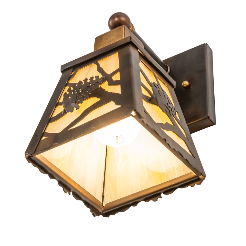 6" Wide Spruce Pine Wall Sconce