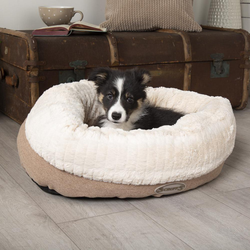 Ellen Polyester Pet Bed, Tan/Ivory, 15cm H x 75cm W x 75cm D