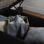 Beckey Upholstered Ottoman Bed-26730935-26824197