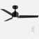 Modern 48" Ceiling Fan with Light and 3 Blades