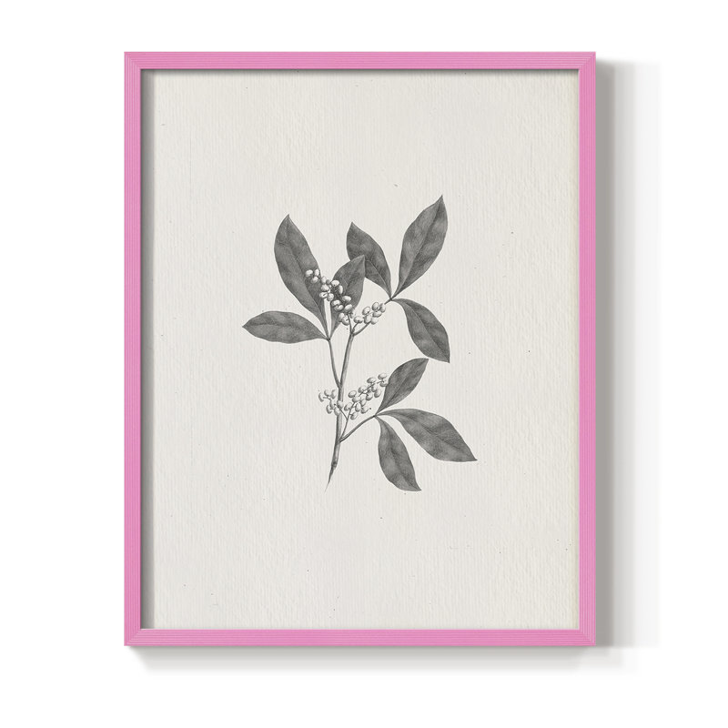 Reproduction encadrée rétro en bois massif XCV III, H 21 po x l 17 po, Rose