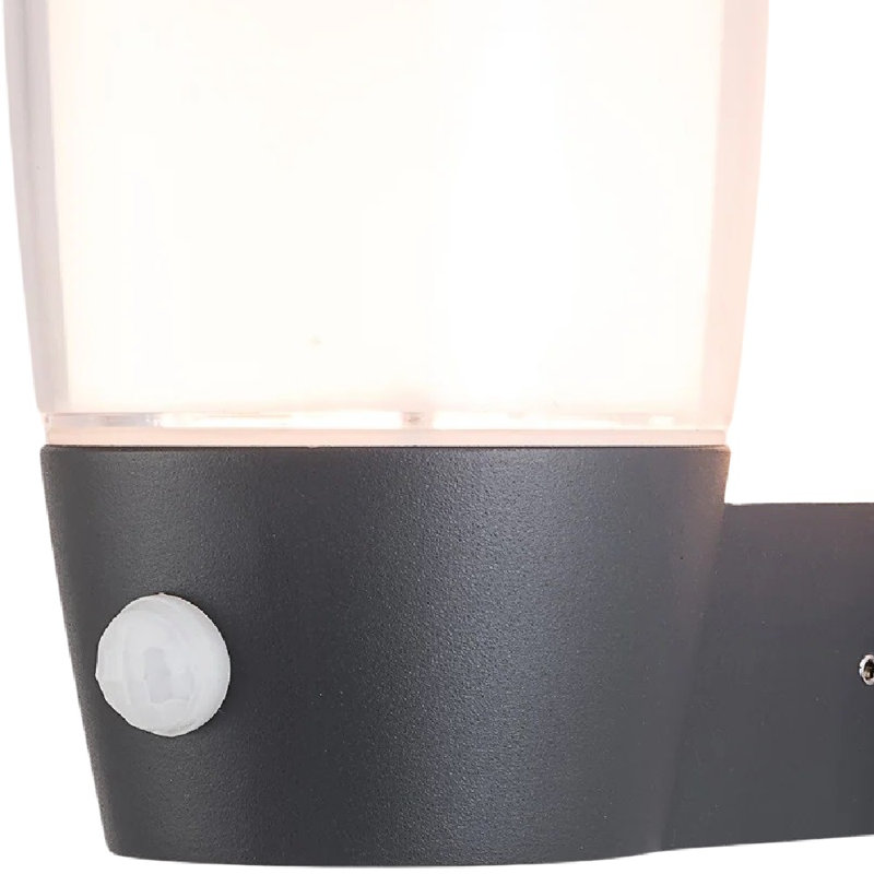 Canoby 16.3cm H Outdoor Armed Sconce, Grey