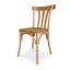 Elowen Elm Wood Dining Chair