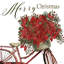 Vélo poinsettia 2885786-2105021306-2095017758-2095017760