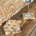 Teak