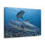 No Frame Print on Canvas-324382831