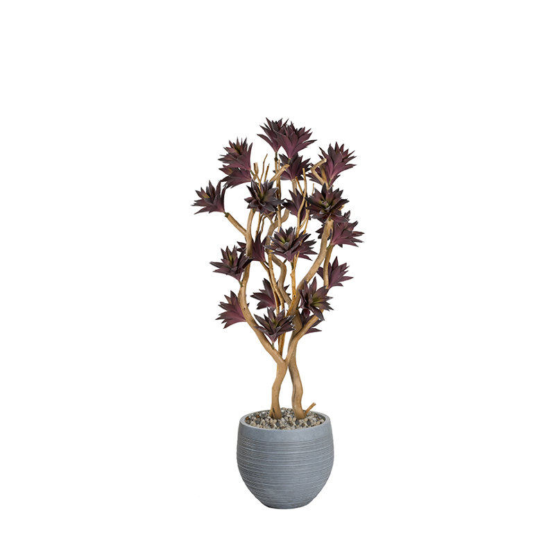 Arbre succulent 7,5 pi mauve givré avec bois de dragon sablé dans un pot Riband