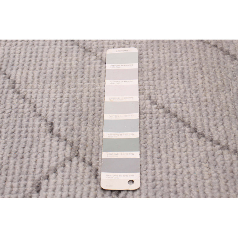 Tapis unique en laine gris clair nouvel âge 5 pi 1 po x 8 pi Grogan