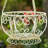 One Allium Way® Box-924803057