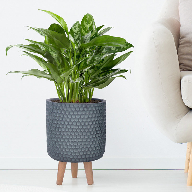 Honeycomb Style Cylinder Round Planter with Feet, 34cm H x 25cm W x 25cm D