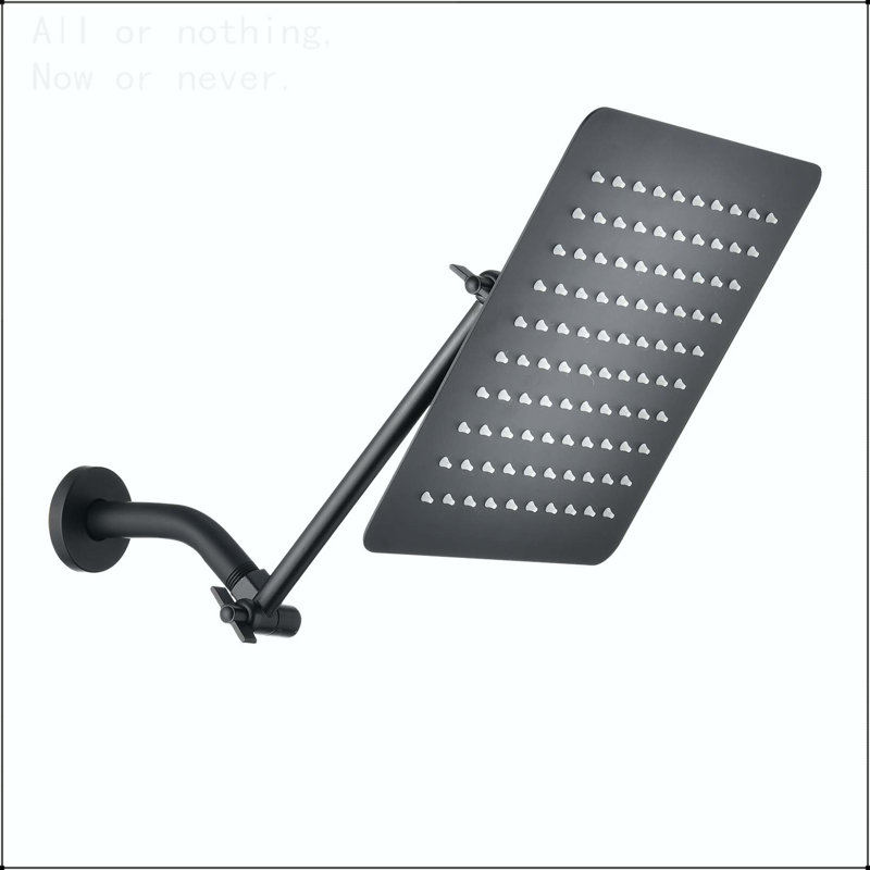 10" Square Rainfall & High Pressure Stainless Steel Bath Shower head  Matte Black, Matte Black