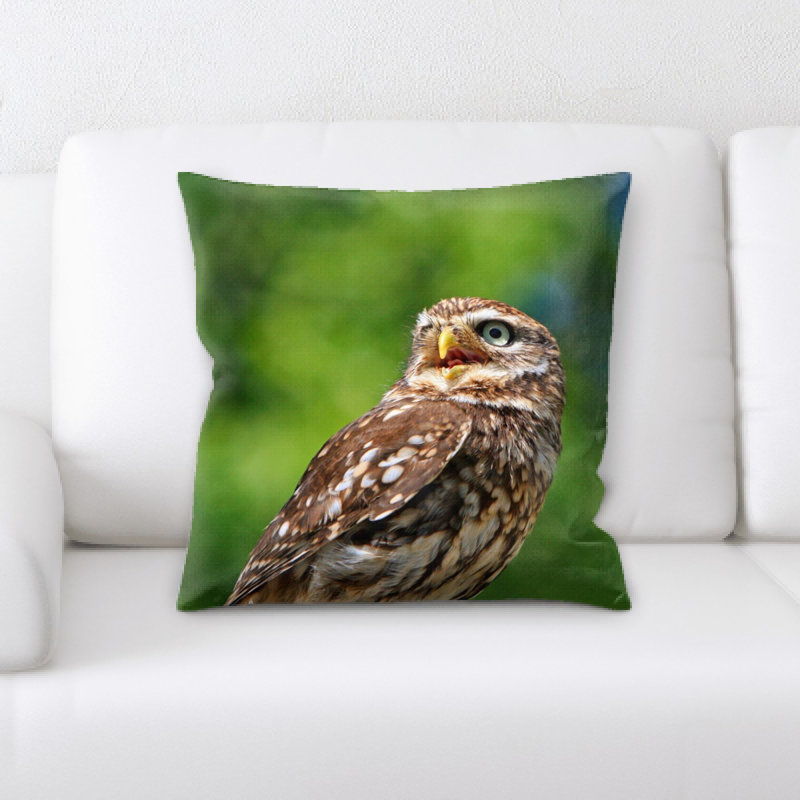 Coussin hibou