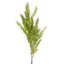 Andarius Arrangement