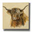 «Highland Animal Cow» par Silvia Vassileva, art mural sur toile-168944843