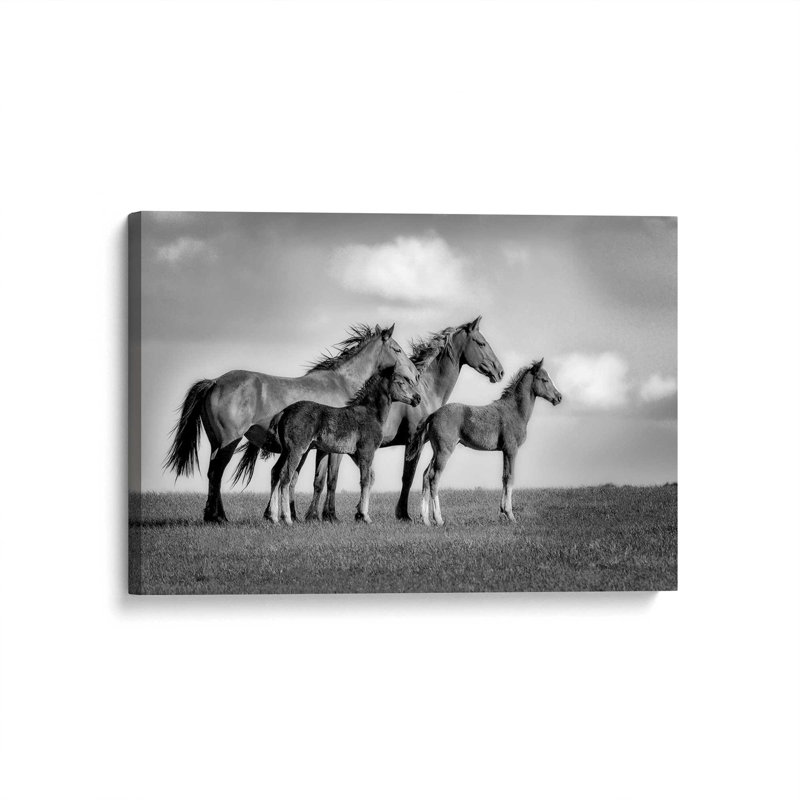 «Family of Wild Horses», reproduction sur toile , Toile tendue, H 20 po x l 30 po x P 1,25 po