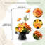 Arrangement