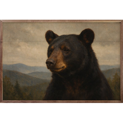 High Country Black Bear