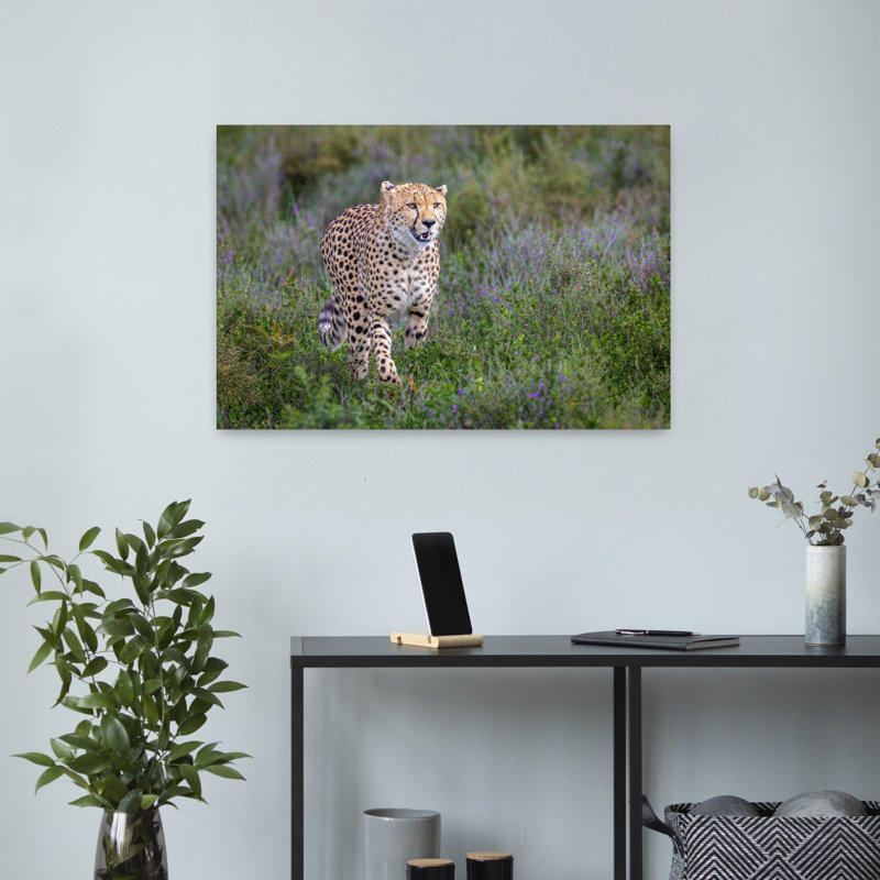 African Cheetah Stride Contemporary Wall Art Print by Jeffrey C. Sink - 1 Piece Wrapped Canvas Wall Art
