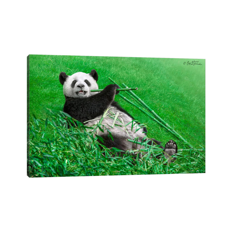 « Funny Panda » par Ben Heine-reproduction de photo, Toile tendue, Pas de tapis, H 26 po x l 40 po x 1,5 po