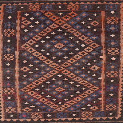 Siv Southwestern Indoor Rug