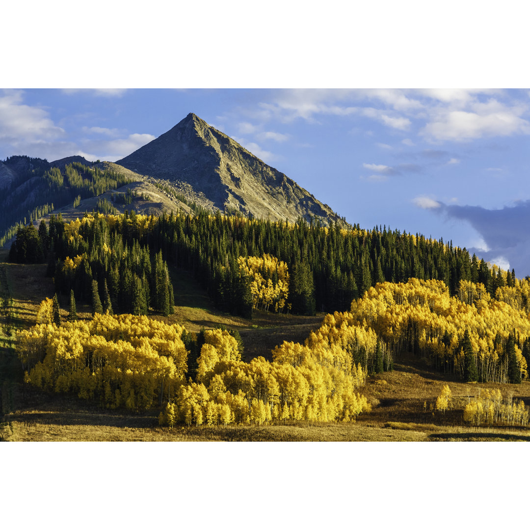 Crested Butte Autumn von Dszc - Kunstdrucke auf Leinwand